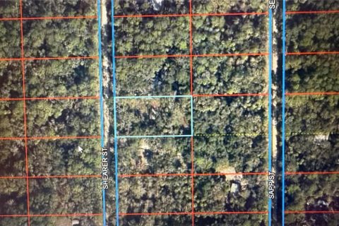 Terrain à vendre à Inglis, Floride № 2218279 - photo 5