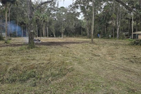 Terrain à vendre à Inglis, Floride № 2218279 - photo 2