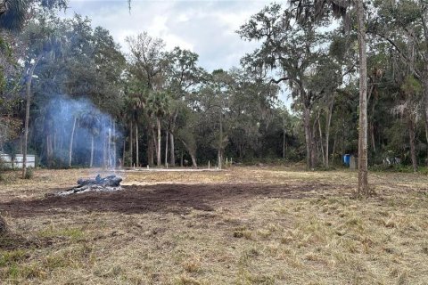 Terrain à vendre à Inglis, Floride № 2218279 - photo 4