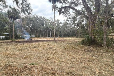 Terrain à vendre à Inglis, Floride № 2218279 - photo 3
