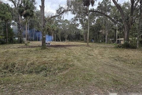Terrain à Inglis, Floride № 2218279