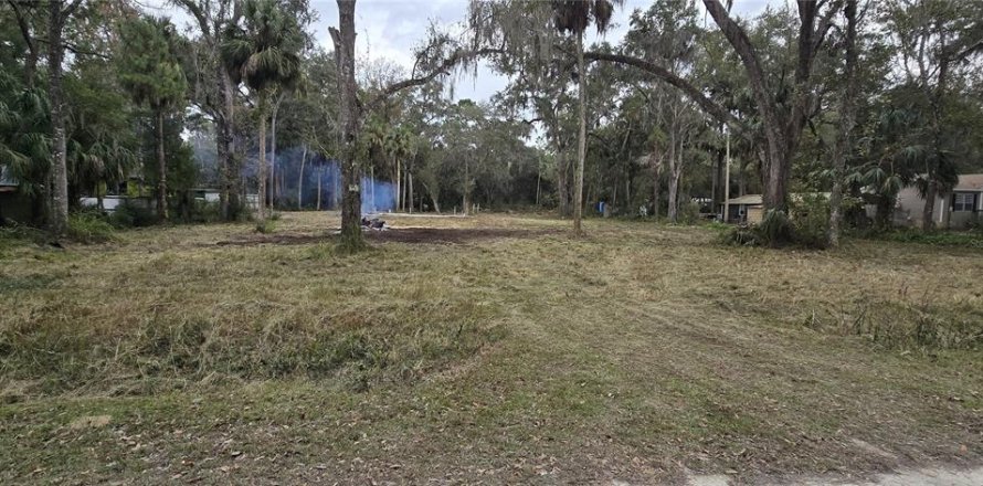 Terrain à Inglis, Floride № 2218279