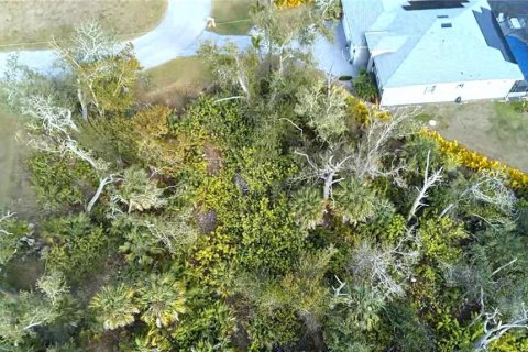 Land in Rotonda, Florida № 2163052 - photo 5