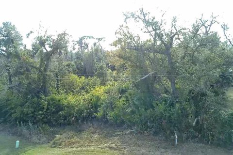 Land in Rotonda, Florida № 2163052 - photo 3