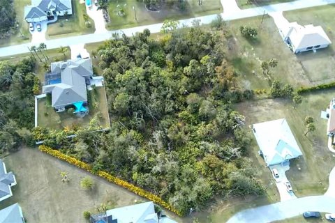 Land in Rotonda, Florida № 2163052 - photo 8