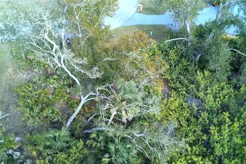 Land in Rotonda, Florida № 2163052 - photo 4