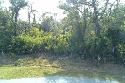 Land in Rotonda, Florida № 2163052