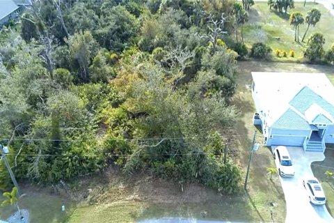 Land in Rotonda, Florida № 2163052 - photo 7