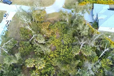 Land in Rotonda, Florida № 2163052 - photo 9