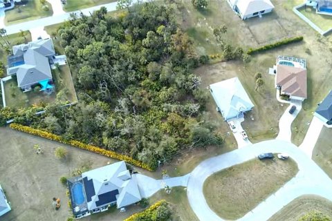 Land in Rotonda, Florida № 2163052 - photo 6