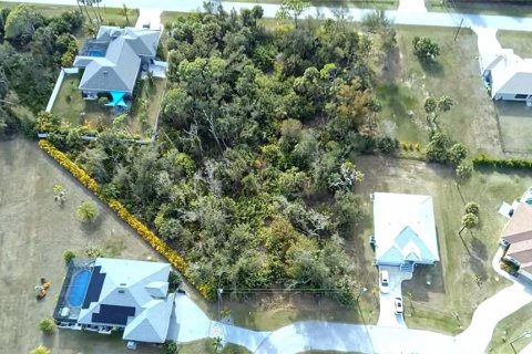 Land in Rotonda, Florida № 2163052 - photo 10