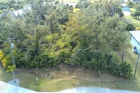 Land in Rotonda, Florida № 2163052 - photo 2