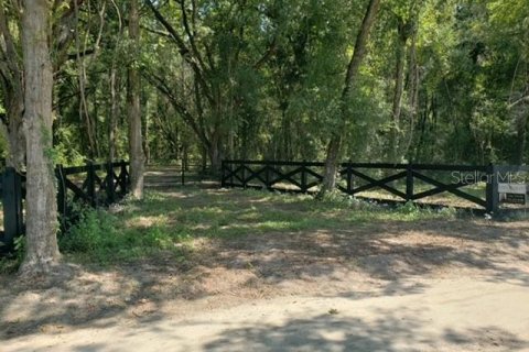 Terreno en venta en Williston, Florida № 549996 - foto 19