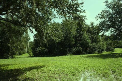 Terreno en venta en Williston, Florida № 549996 - foto 14