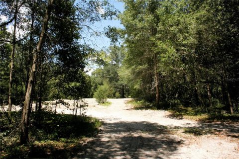 Terreno en venta en Williston, Florida № 549996 - foto 12