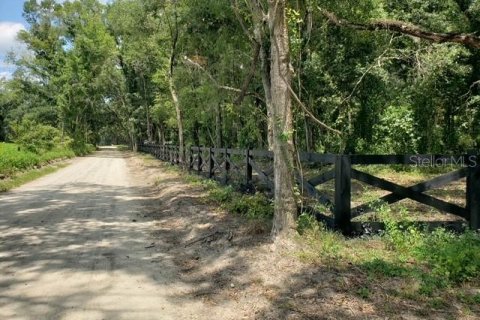 Terreno en venta en Williston, Florida № 549996 - foto 21