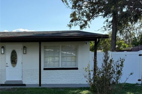 Снять в аренду виллу или дом в Тампа, Флорида 8 комнат, 88.26м2, № 1564399 - фото 1