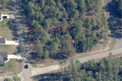 Land in Citrus Springs, Florida № 2161685