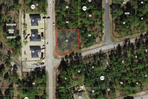 Land in Citrus Springs, Florida № 2161685 - photo 2