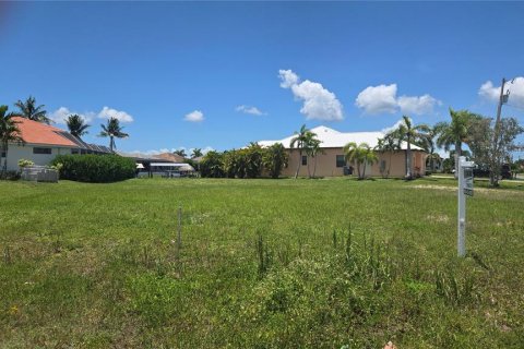 Terreno en venta en Cape Coral, Florida № 2167837 - foto 9