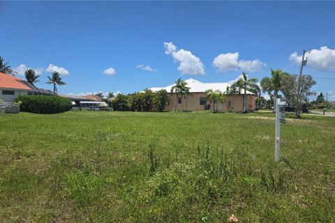 Terreno en venta en Cape Coral, Florida № 2167837 - foto 10