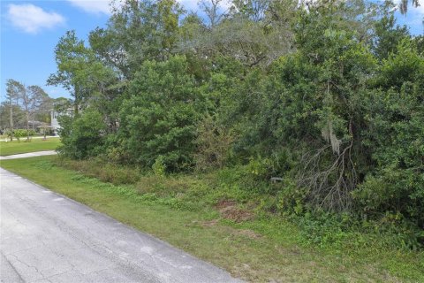 Terreno en venta en Deltona, Florida № 2234877 - foto 10