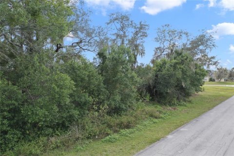 Terreno en venta en Deltona, Florida № 2234877 - foto 9