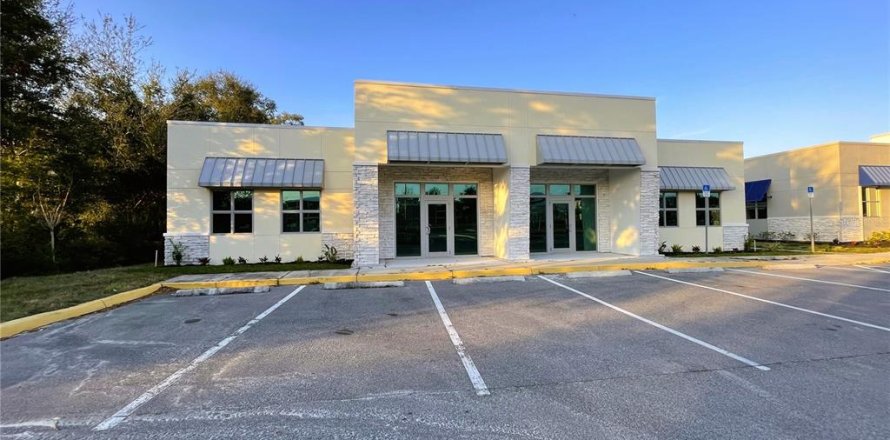 Immobilier commercial à Lady Lake, Floride 371.61 m2 № 1721598