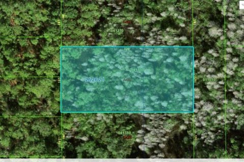 Land in Polk City, Florida № 2162230