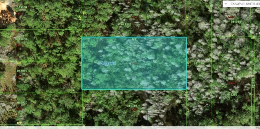Land in Polk City, Florida № 2162230