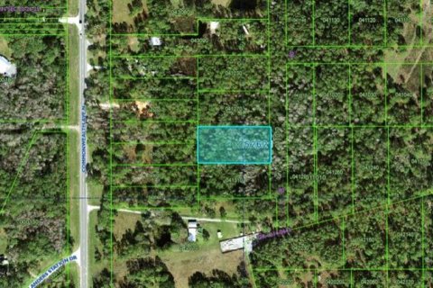 Land in Polk City, Florida № 2162230 - photo 2