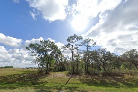 Land in Polk City, Florida № 2162230 - photo 3