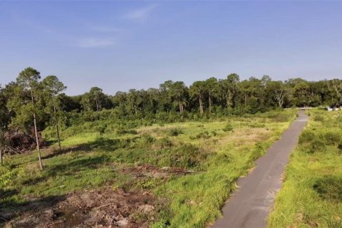 Land in Tampa, Florida № 2139353