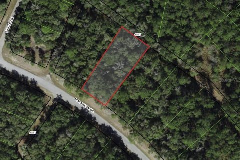 Land in Dunnellon, Florida № 2164727