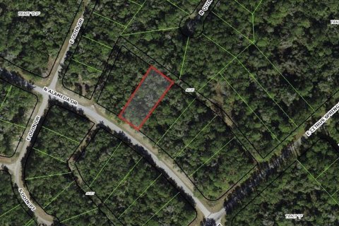 Land in Dunnellon, Florida № 2164727 - photo 2