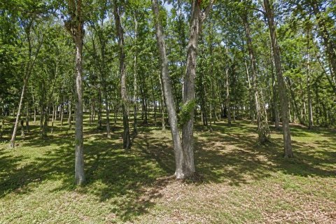 Terreno en venta en Brooksville, Florida № 2167046 - foto 3