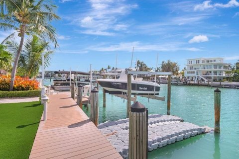 House in Islamorada, Village of Islands, Florida 8 bedrooms, 500.93 sq.m. № 1864591 - photo 4