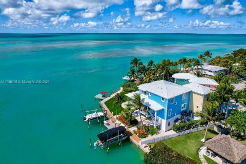 House in Islamorada, Village of Islands, Florida 8 bedrooms, 500.93 sq.m. № 1864591 - photo 5
