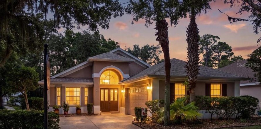Villa ou maison à Palm Coast, Floride 3 chambres, 138.24 m2 № 2329764