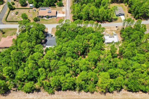Land in Citrus Springs, Florida № 2213143 - photo 11