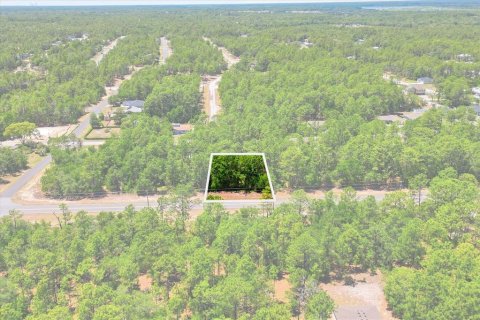Land in Citrus Springs, Florida № 2213143