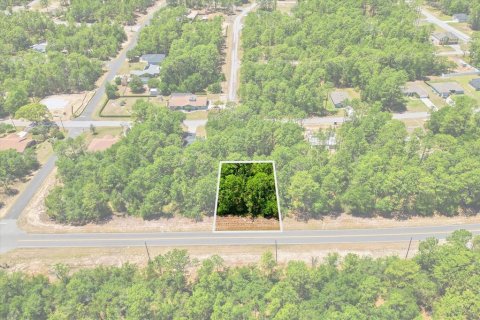 Land in Citrus Springs, Florida № 2213143 - photo 7