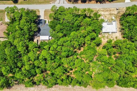 Land in Citrus Springs, Florida № 2213143 - photo 12