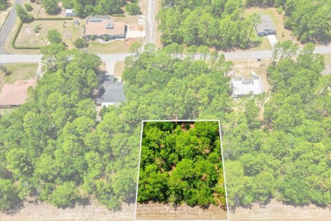 Land in Citrus Springs, Florida № 2213143 - photo 4