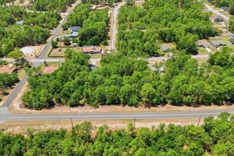 Land in Citrus Springs, Florida № 2213143 - photo 2