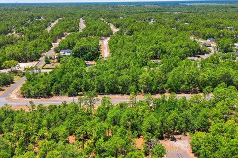 Land in Citrus Springs, Florida № 2213143 - photo 3