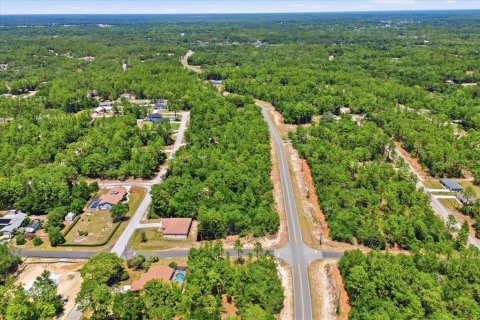 Land in Citrus Springs, Florida № 2213143 - photo 9