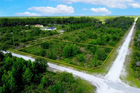 Terrain à vendre à Indian lake estates, Floride № 2161052 - photo 4