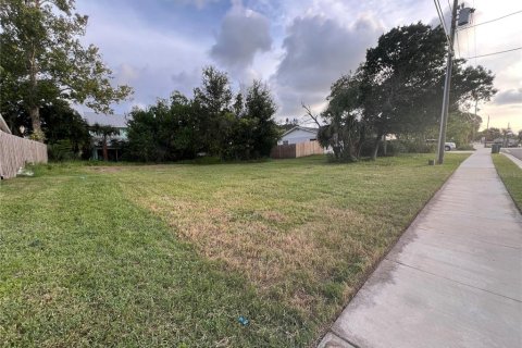 Land in Palm Harbor, Florida № 1841861 - photo 7