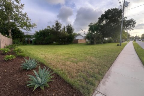 Land in Palm Harbor, Florida № 1841861 - photo 2